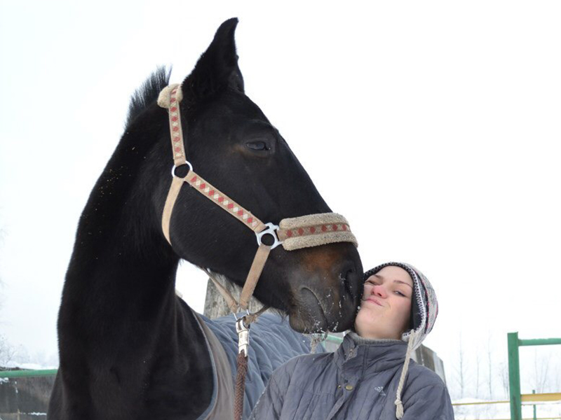 ������ ������ ������������ �������� ���������� ��������� � ��������� ����������� ���������