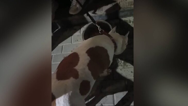 ������ ����� ������ ������, ������� ������� ����� ������