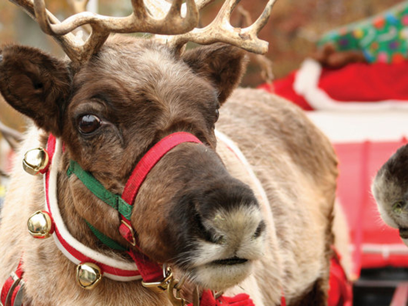 � ����� ��� ���������� ������ �������� ������ ��������� ������!