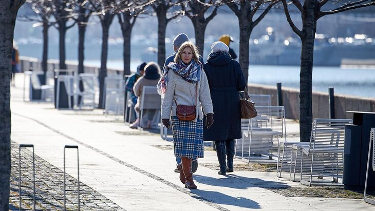 �������� ���������� ��������� ��������� ������ ������� ������ 20�21 �������