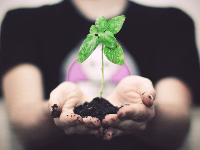 � ������ � ���� ���� ������� ����� 3 ��� ��������