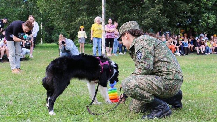 ����������� ����� ����������� ���������� ������ ������� �� ������-������� ������