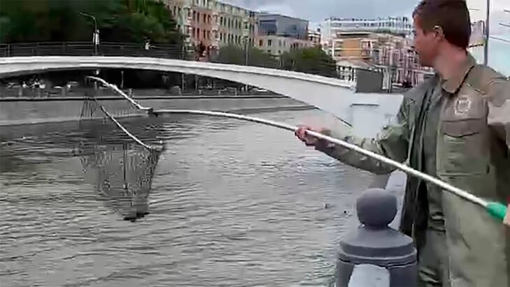 ��������� ���������� �������� �������� ���������� �������� �� ������-����