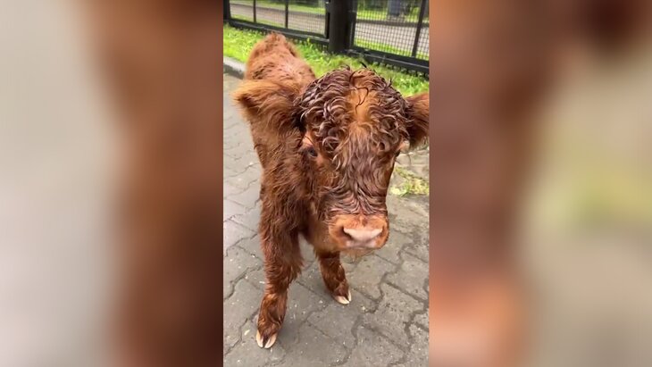 ����� ������ ����� ������� � ������� ���� ������ � ������� ������