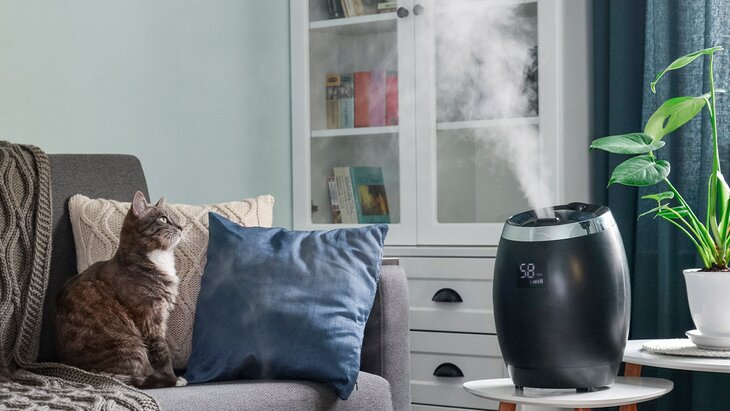 ��������� ���������, ����� ��������� ����� ������������ �������������� ��� ��������