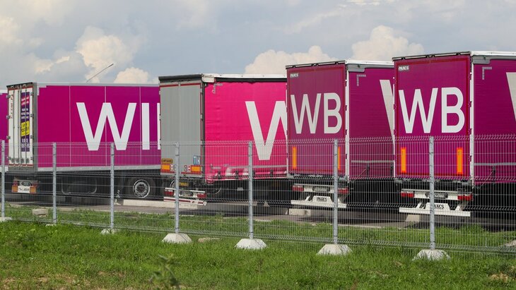 ����� ��������� �� ������������� ������� Wildberries � ��������