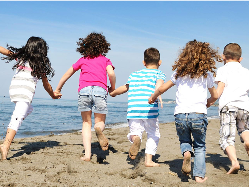  2016              26 