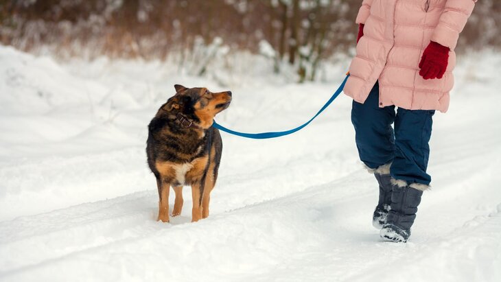 ������������ �� ��������� ��������������� �� ���������� ���������� � ��