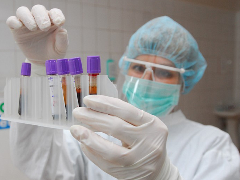 � ��������� ������������ �������� ������ ������������ �� ��� � 11 ���