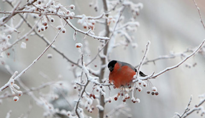 � ������ �� ����� ����������� ����� ����� ������ �����