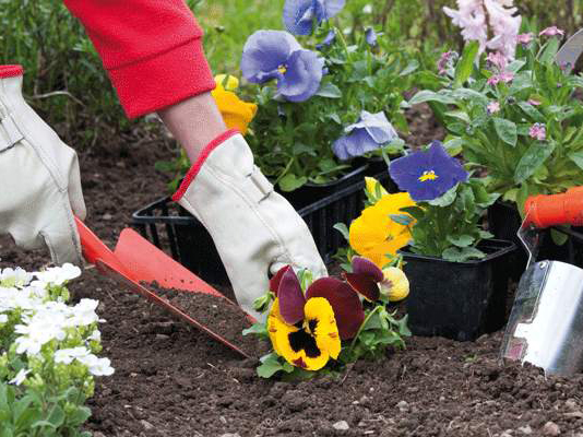 � ������ ����� ������ � �� ���������!