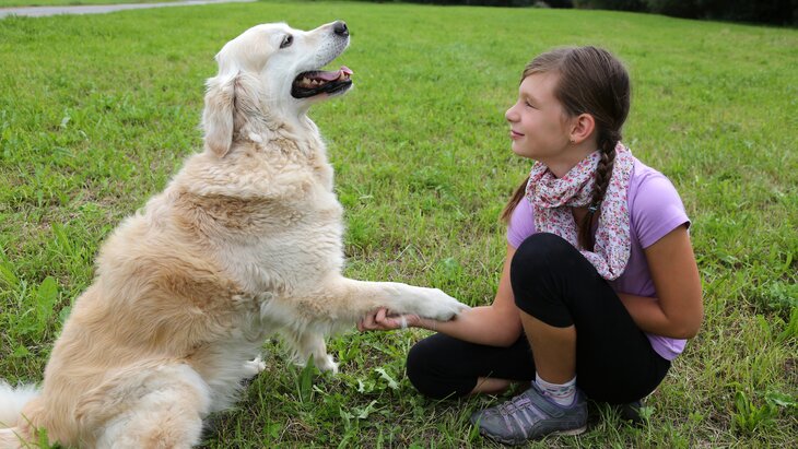 ������� ����������, ��� ��������� ������� ��������� ������