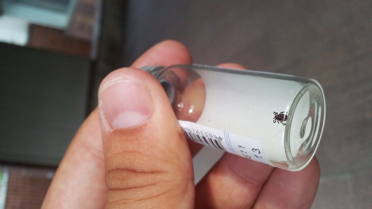 ������ ������ ������� � ������ �������� �������