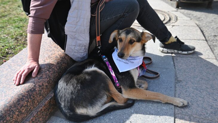 �������� �������� �� ������� ������� �� ������-��������� "������ 2030"