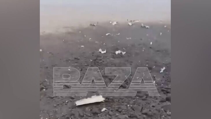 ����������� ���� � ���������