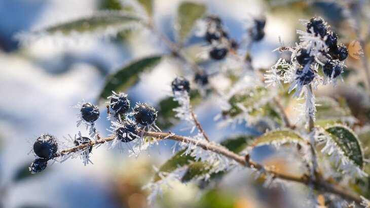 ������ ��������� � ������ ��������� �� ������ ������ �������