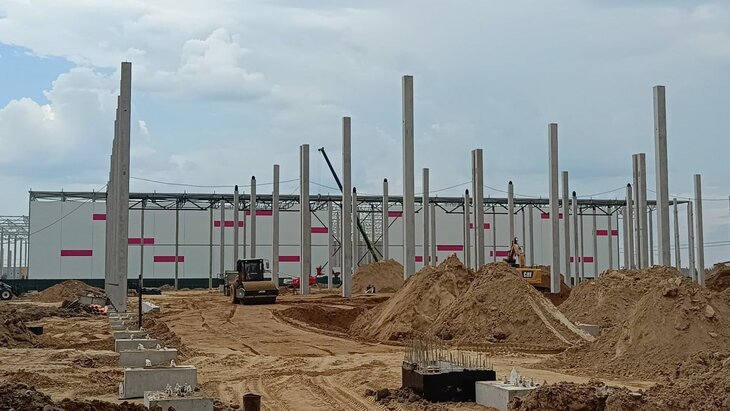 ����� Wildberries ������������ ������ ���� � ������������ ������ � �������