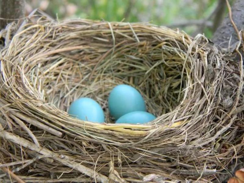 ��������� � ������ ������ ����� � ������������ �����