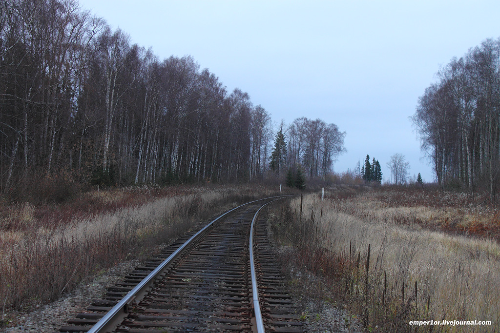 ������� ������ �� ������� �����������