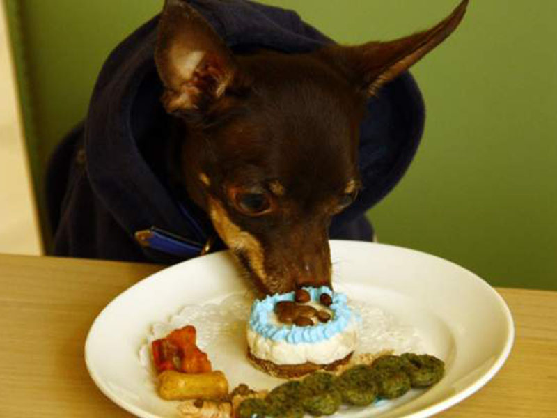 ���������� ������ ��������� ������ ����� ����������� ��������