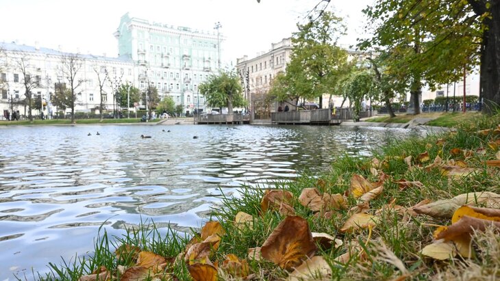 �������� ������� � �������� ����������� ������������� ����� � ���������� �������