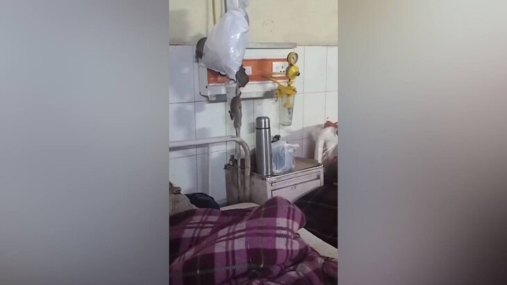 ����� �������� ��������� � ����� �� ��������������� ������� �����