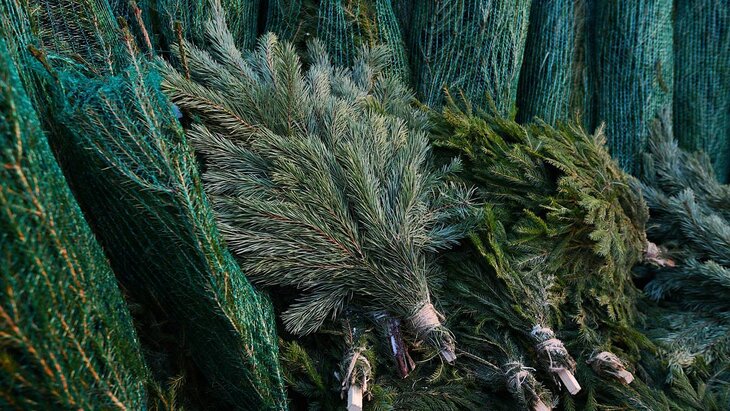 ������� ������ ��������� � ������ 20 �������