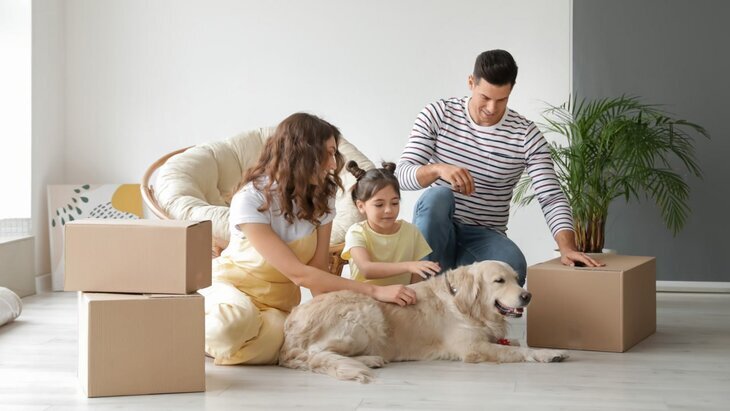 ������ ���� �� ������ ������� �� ������ ������� ��� ����� � ������ ������ 6 ���