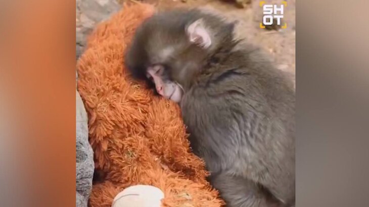 �������� ������� �������� �������� � ��������� ������ �����