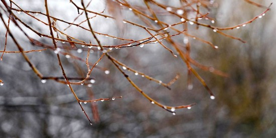 ��������� ������ ���� ������� ���� � ��������