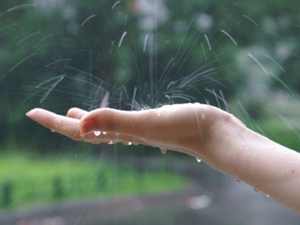 � ������ ����� ��������� �������� ���������� ��������� 9 ���