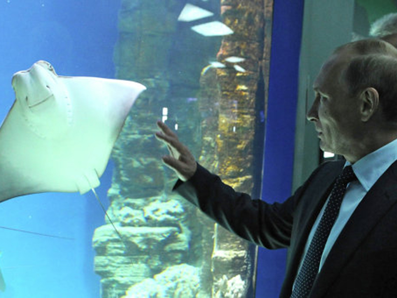 ����� ����������� � ��������� ��� ������� ����������� �� ����