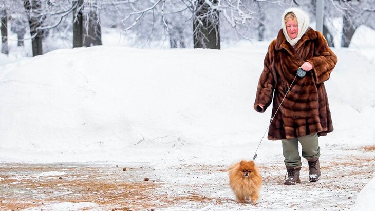 �������� �������������� �������� ������ ����� ��-�� ��������