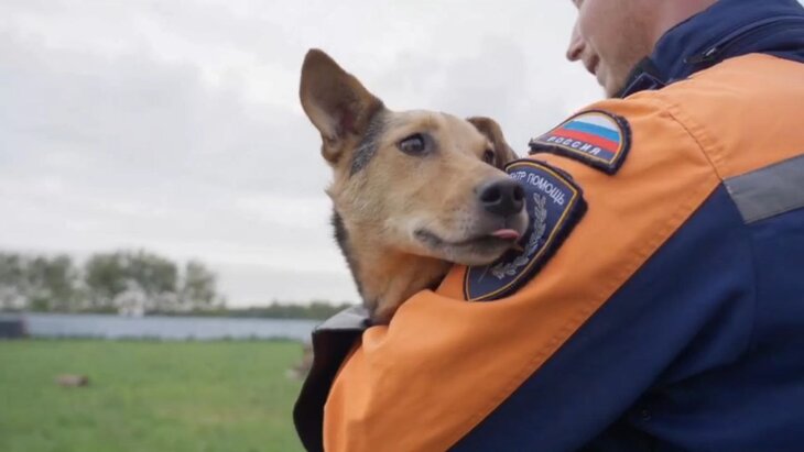 ���������� ������� ����� ������� ����� �� ������ � ������� �������