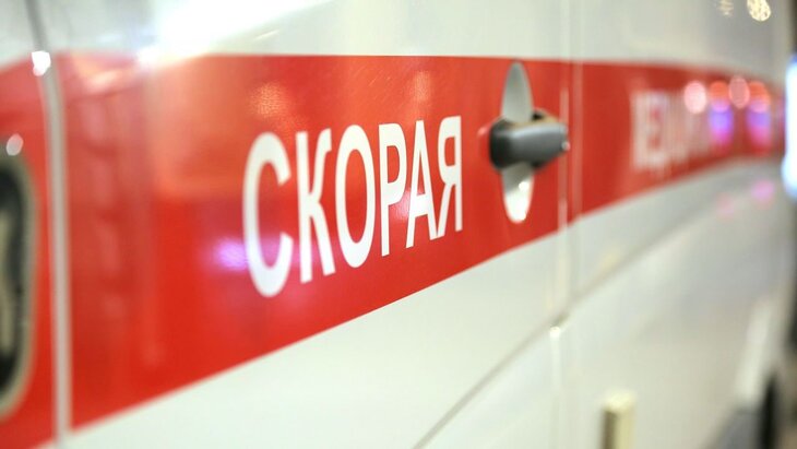 � �������� ������ ���������� 12 ������������ ��� ����� ���