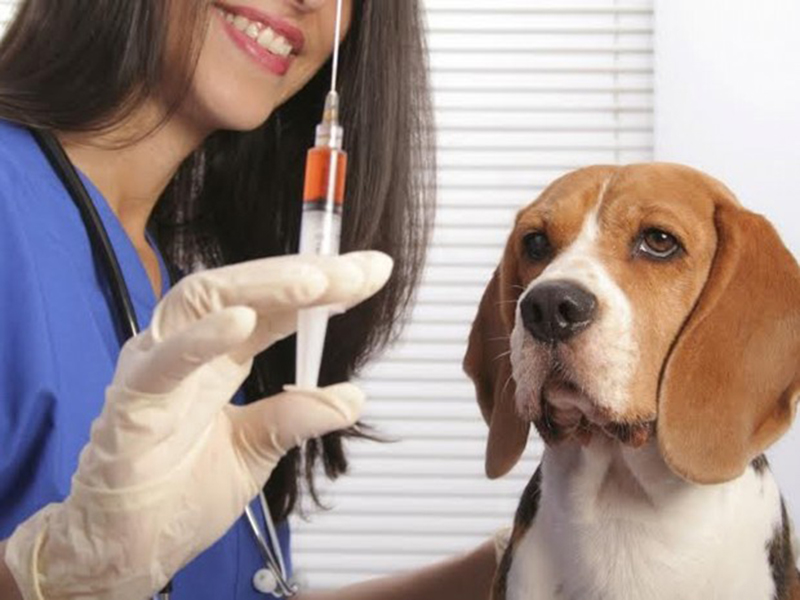 � ����� ��� �������� �������� �� ���������� �������� �������� � �������������� ������