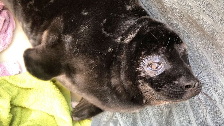 � �������� ������������� ������� ������ �������� ��������� �����