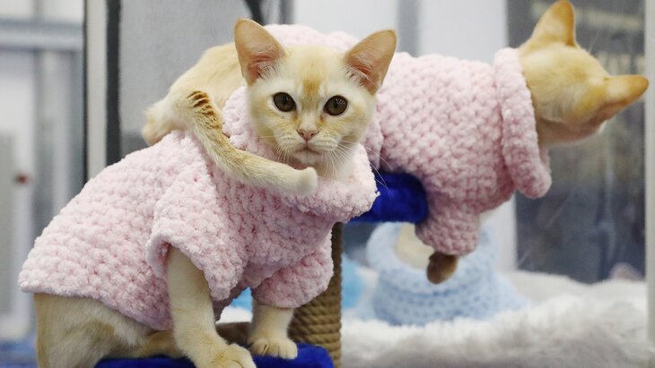 ������� ������� ����� ���������� ������ ����� � ���������