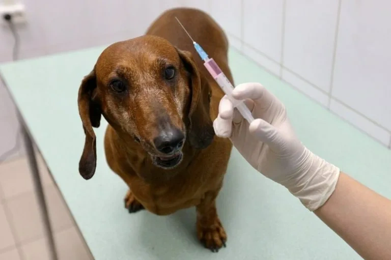 ������ ������ ������� ���������� ���������� �� ��������� �� 2025 ��� ����������� �� ������� mos.ru