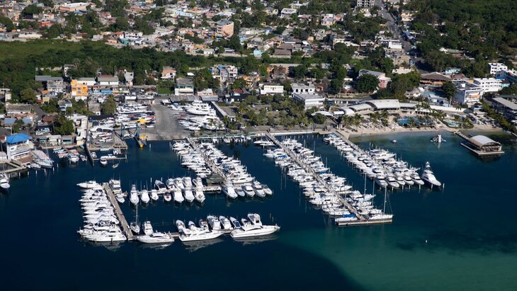 ���������� �� ��������� � ������������� ���������� � 2025 ����