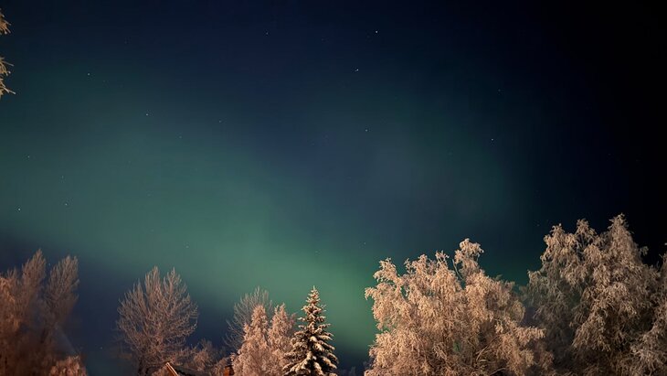 �������� ���������, ������ �� �������� �������� ������