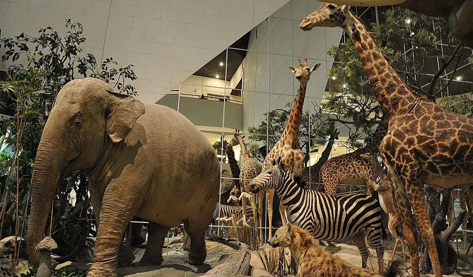 ������������ ����� � ���� �� ����� ���������� ����� ��������� ����������