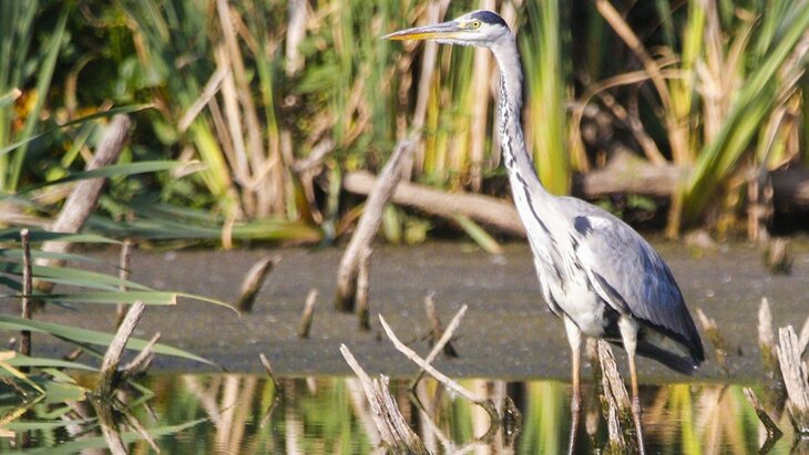 ���������� �������� �������� � ������ ������� ����� ������