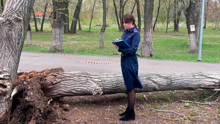 � ��������� ���������� � ��������� ������������ ��� ������� ������ � ������