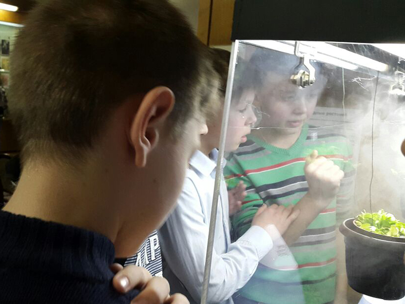 �������������� �������������� �������� � ������������� ����� ��. ����������