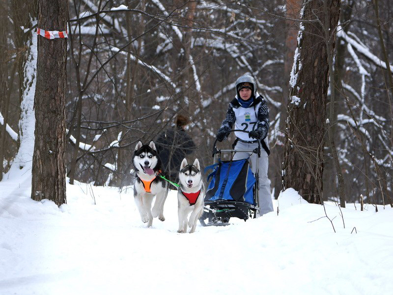 ������� ����� �� �������� �������� ��������� � �������������� ������