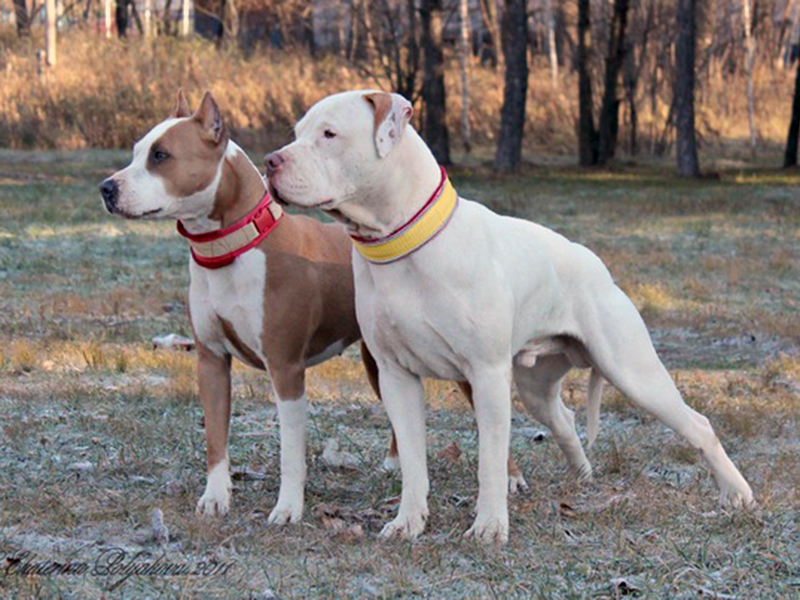 � ������ ����� ������� ��������� ����� ��� ����� �������� ������