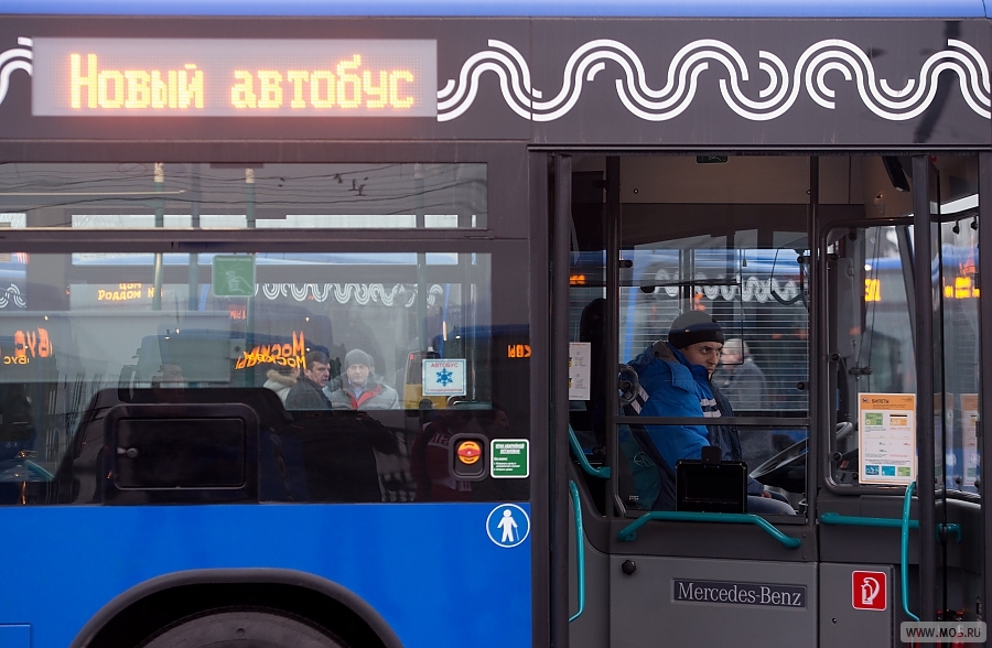 �������: 80 ��������� ����������� ����� ��������� �� ��������� ������ ����