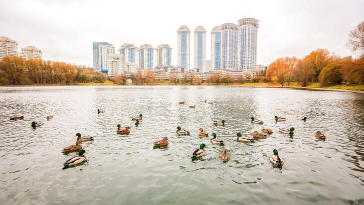 ����� 20 ������ ������� � ������� � ������ � 2024 ����