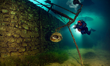 Фотовыставка «Дикий подводный мир» откроется в Дарвиновском музее
